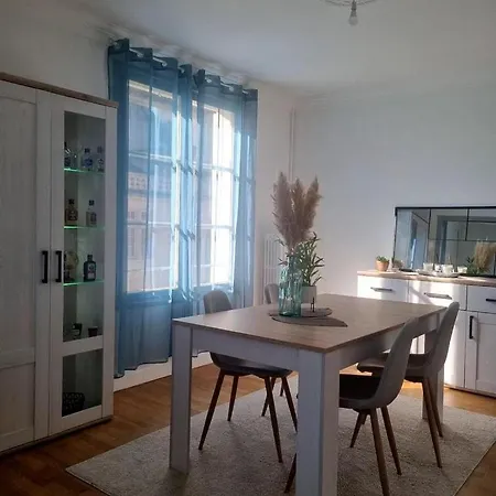 Apartment F3 Lumineux Et Renove, Centre *