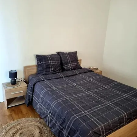 Apartment F3 Lumineux Et Renove, Centre